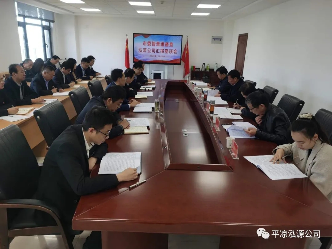 市委辦公室、市政府國資委督查泓源公司工作(圖4)